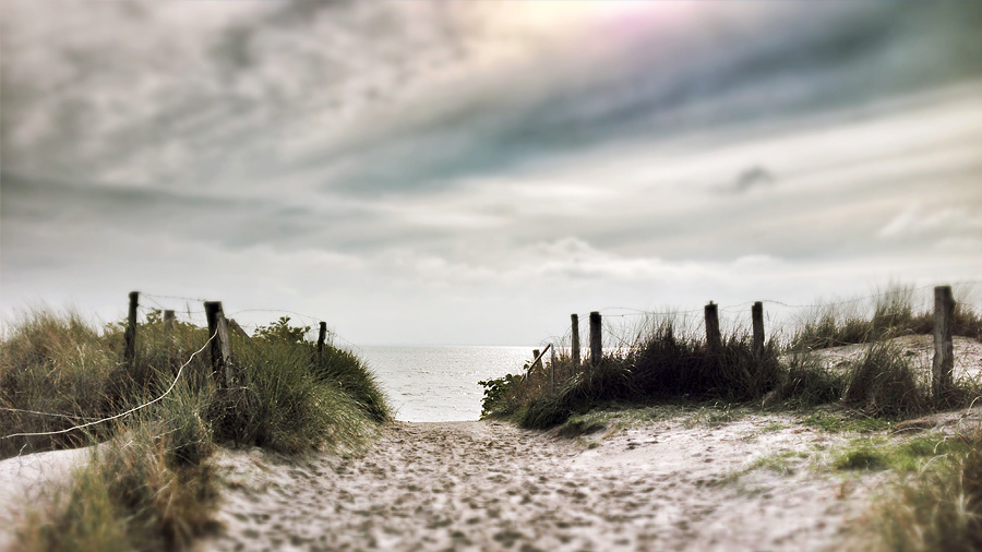 Düne am Lenster Strand