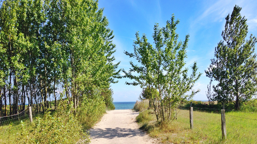 Grömitz / Lensterstrand Düne